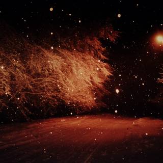 1920x1080 winter night wallpaper