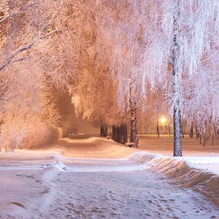 1920x1080 winter night wallpaper