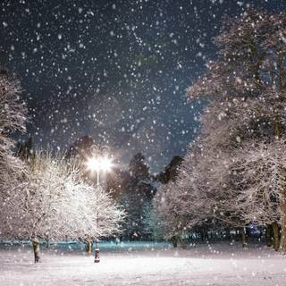 1920x1080 winter night wallpaper