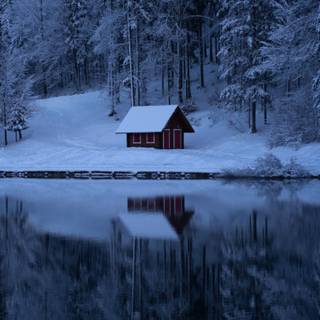 Laptop winter vibes wallpaper