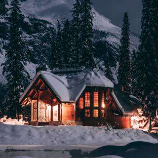 Night winter 1080x1920 wallpaper