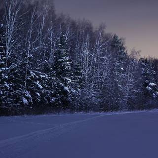 1920x1080 winter night wallpaper