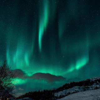 1920x1080 winter night wallpaper