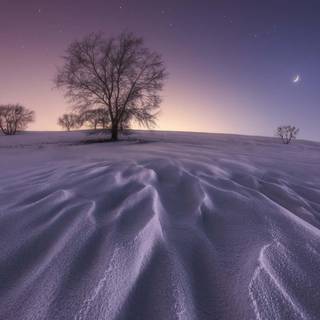 1920x1080 winter night wallpaper