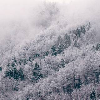 Laptop Xmas wallpaper