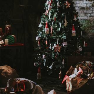 Christmas tree outside wallpaper