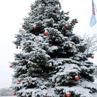 Christmas tree outside wallpaper