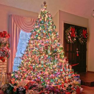 Christmas tree outside wallpaper