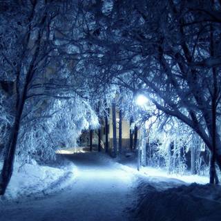 Winter vibes desktop wallpaper