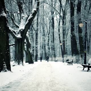 Winter vibes desktop wallpaper