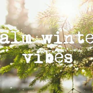 Winter vibes desktop wallpaper