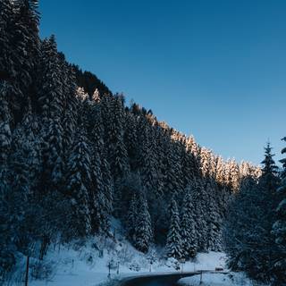 Winter road dark wallpaper