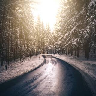 Winter road 4k wallpaper