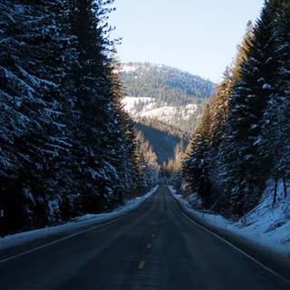 Winter drive wallpaper