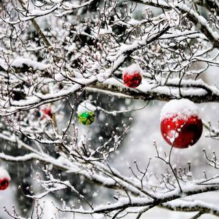 Snow Christmas 4k wallpaper