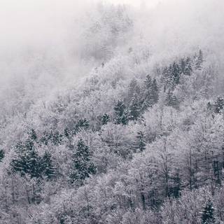 Snow Christmas 4k wallpaper