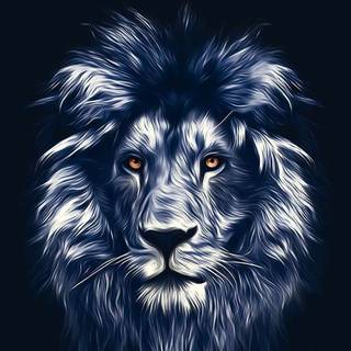 Phone lion wallpaper