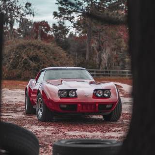 iPhone Corvette wallpaper