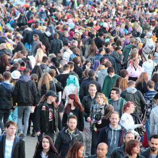 Overpopulation wallpaper