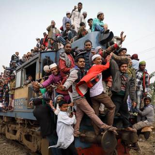 Overpopulation wallpaper