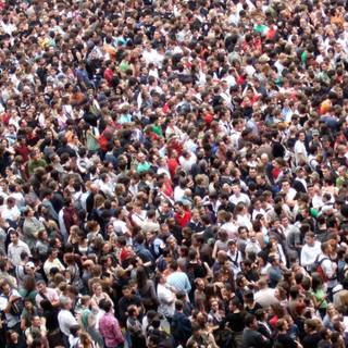 Overpopulation wallpaper