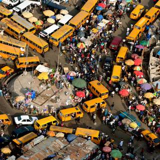 Overpopulation wallpaper