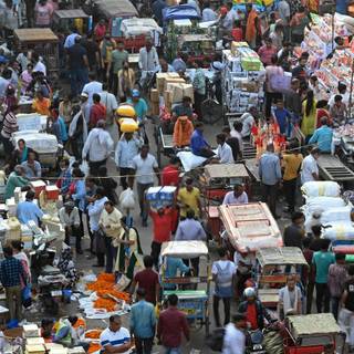 Overpopulation wallpaper