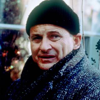 Home Alone Harry Lime wallpaper