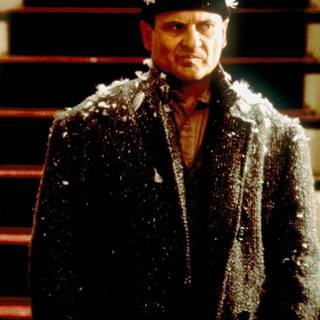 Home Alone Harry Lime wallpaper