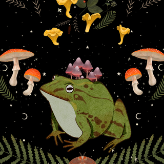 Frog wallpaper
