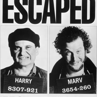 Home Alone Harry Lime wallpaper