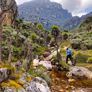 Mountains Uganda wallpaper