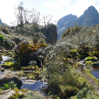 Mountains Uganda wallpaper