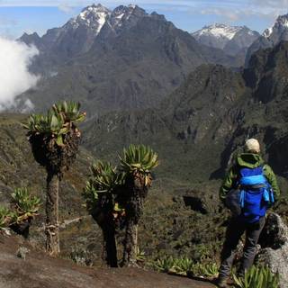 Mountains Uganda wallpaper