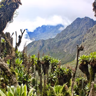 Mountains Uganda wallpaper