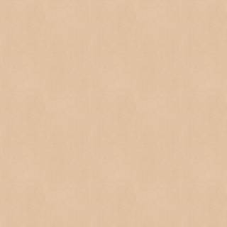 Plain beige wallpaper