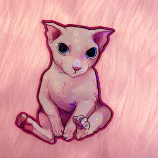 Bingus cat wallpaper