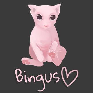 Bingus cat wallpaper