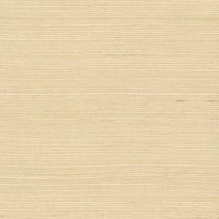 Plain beige wallpaper