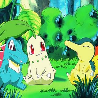 Pokémon Gen 2 wallpaper