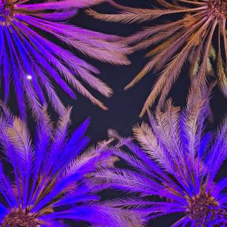 Galaxy A54 wallpaper