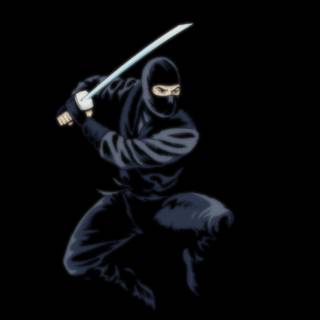 Ninja computer wallpaper