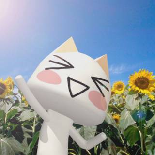 Toro Inoue computer wallpaper