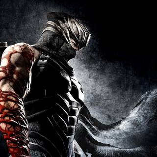 Ninja computer wallpaper