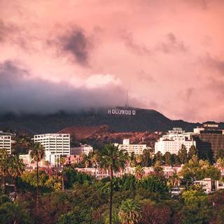 Hollywood city wallpaper