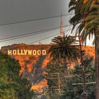 Hollywood city wallpaper
