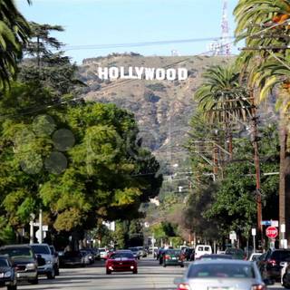 Hollywood city wallpaper