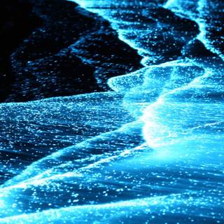 Phone bioluminescence wallpaper