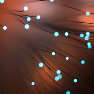 Phone bioluminescence wallpaper