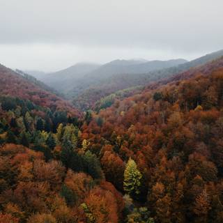 Valley autumn wallpaper